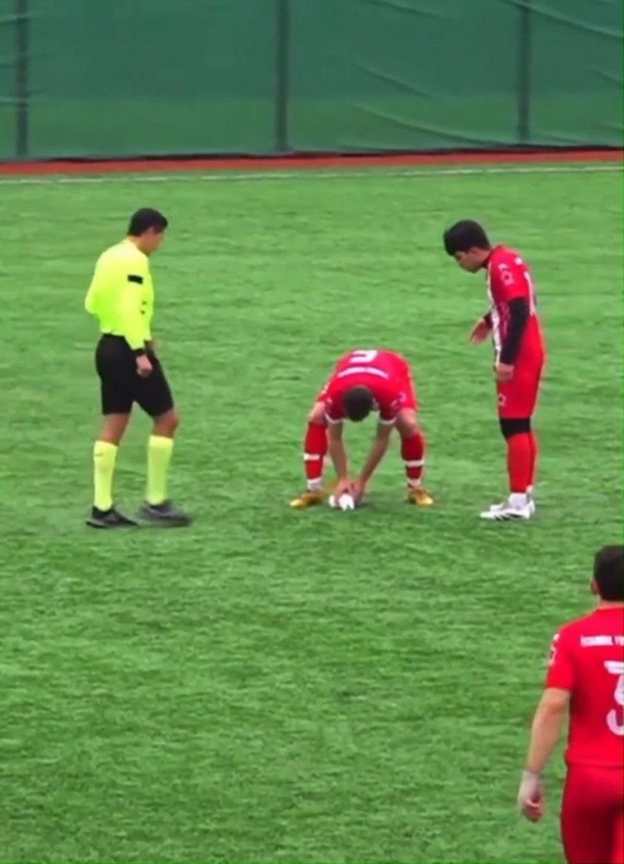 רגע הפגיעה בשחף