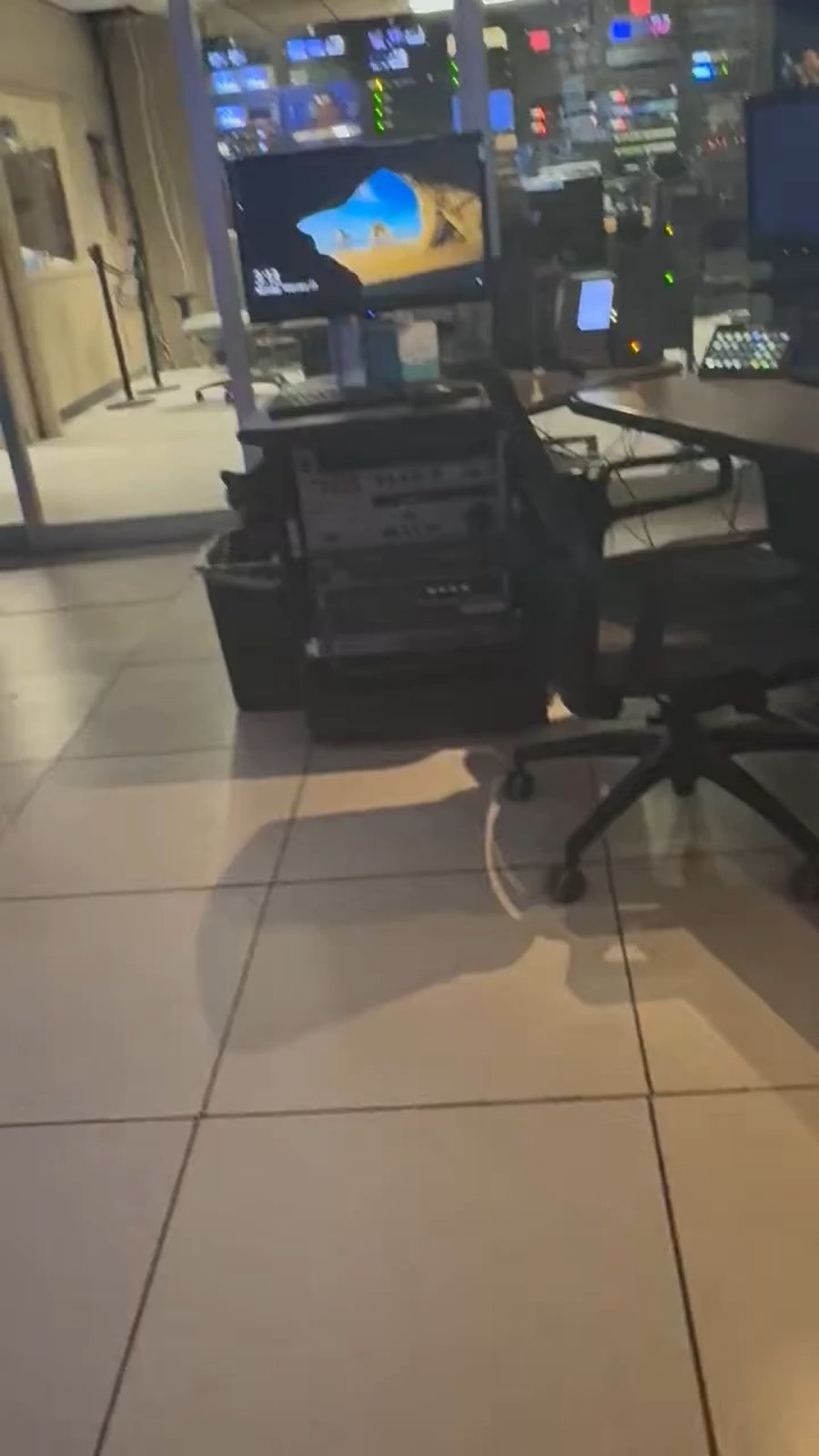 הדביבון שהתגלה בחדר החדשות