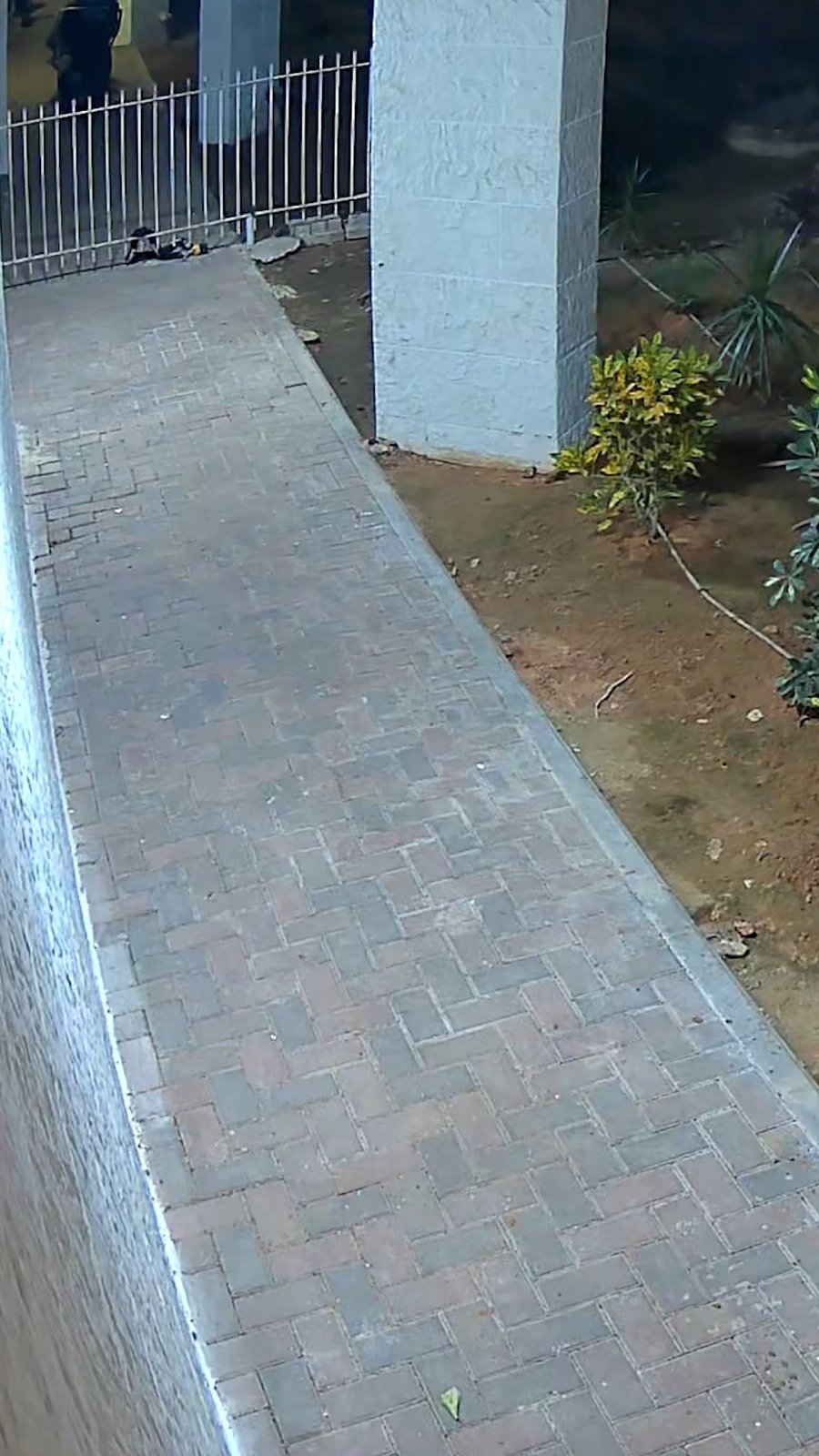 החשודים במהלך התקרית