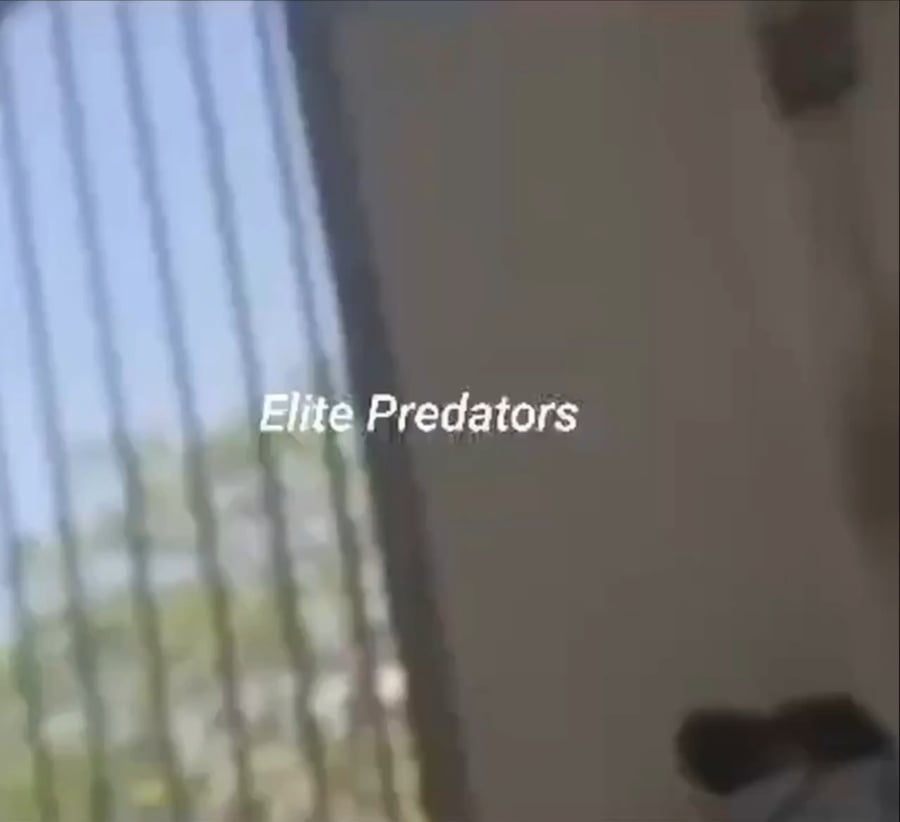 ירי חי מחוץ לשגרירות