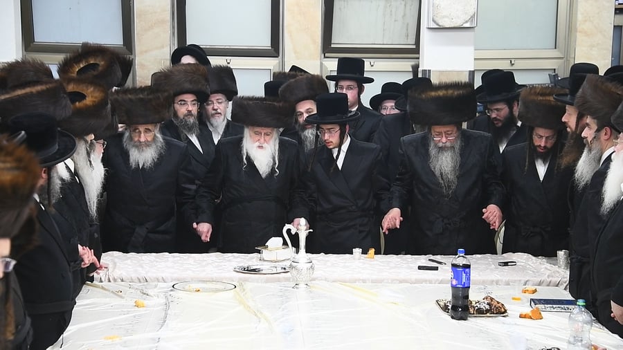 שמחת בית מכנובקא בעלזא - שבט הלוי