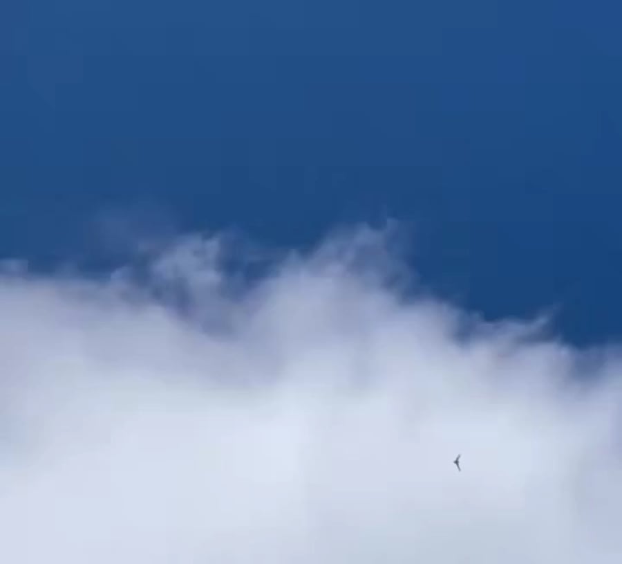 חג מעל שמי טהרן - RA-01