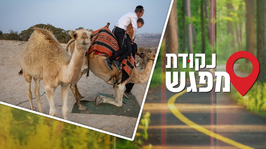 נקודת מפגש 9