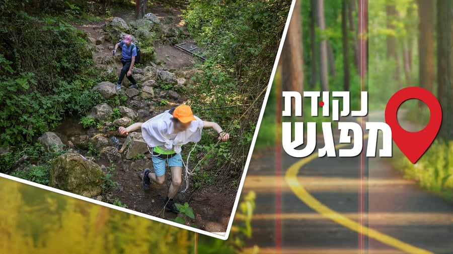 נקודת מפגש 4