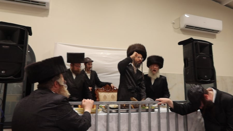 פורים בחצה"ק זוויעהיל