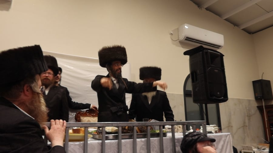 פורים בחצה"ק זוויעהיל