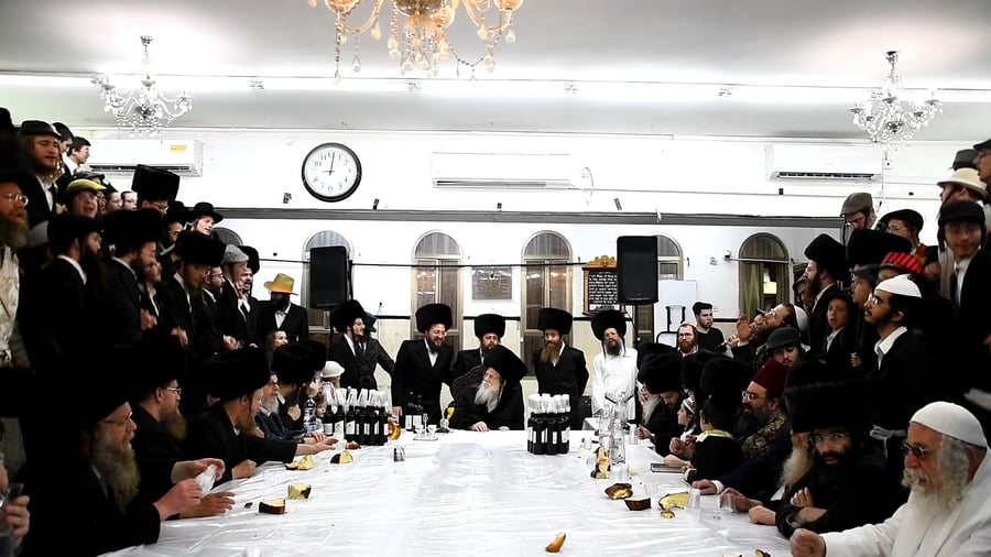 פורים בחצה"ק מודז'יץ