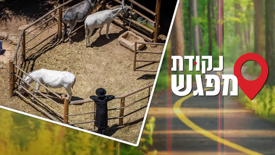 נקודת מפגש 6