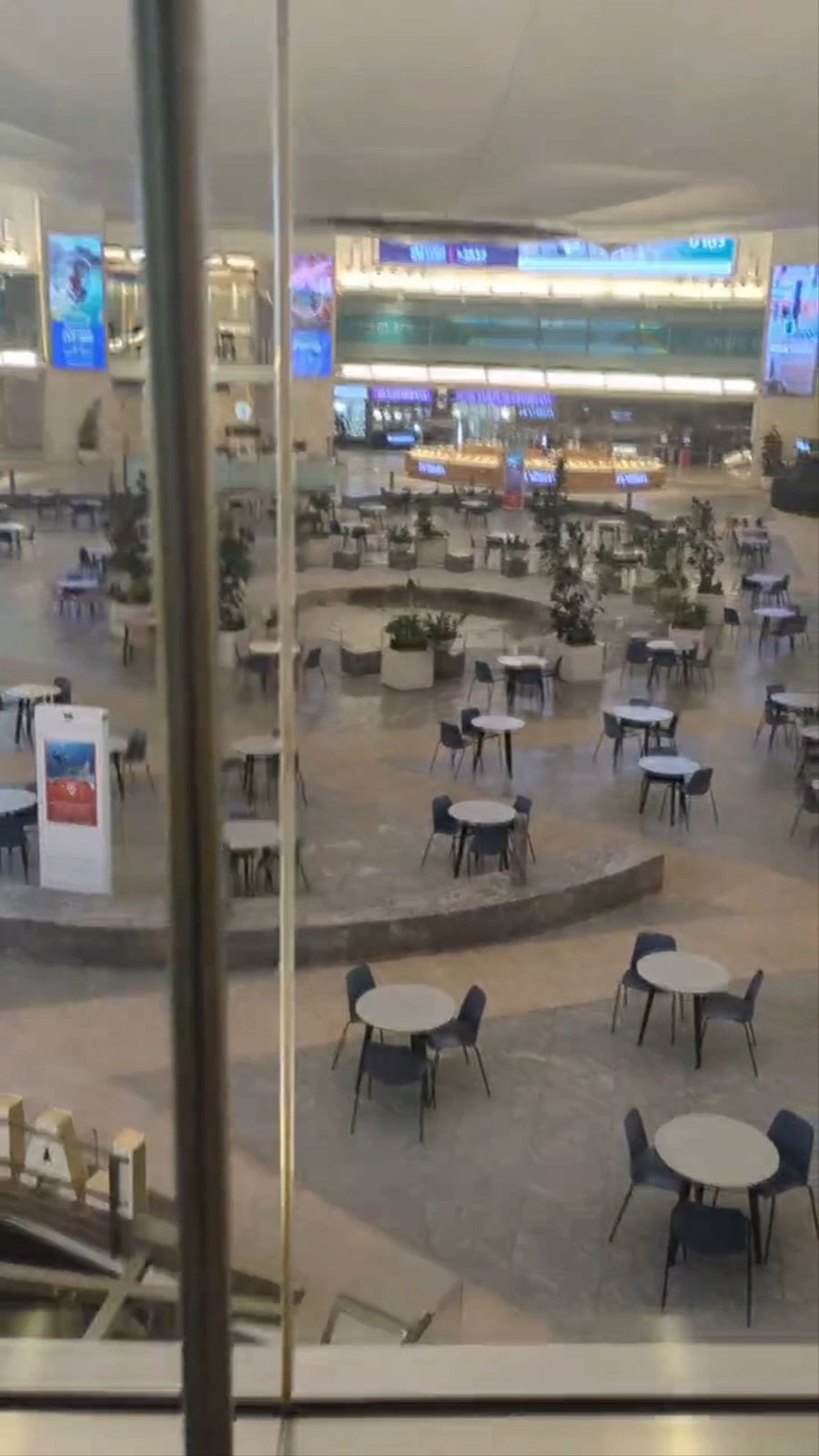 נתב"ג במבצע שאגת הארי