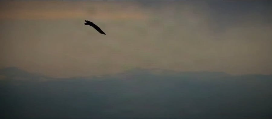 היעוד שפורסם בחשבון הרשמי