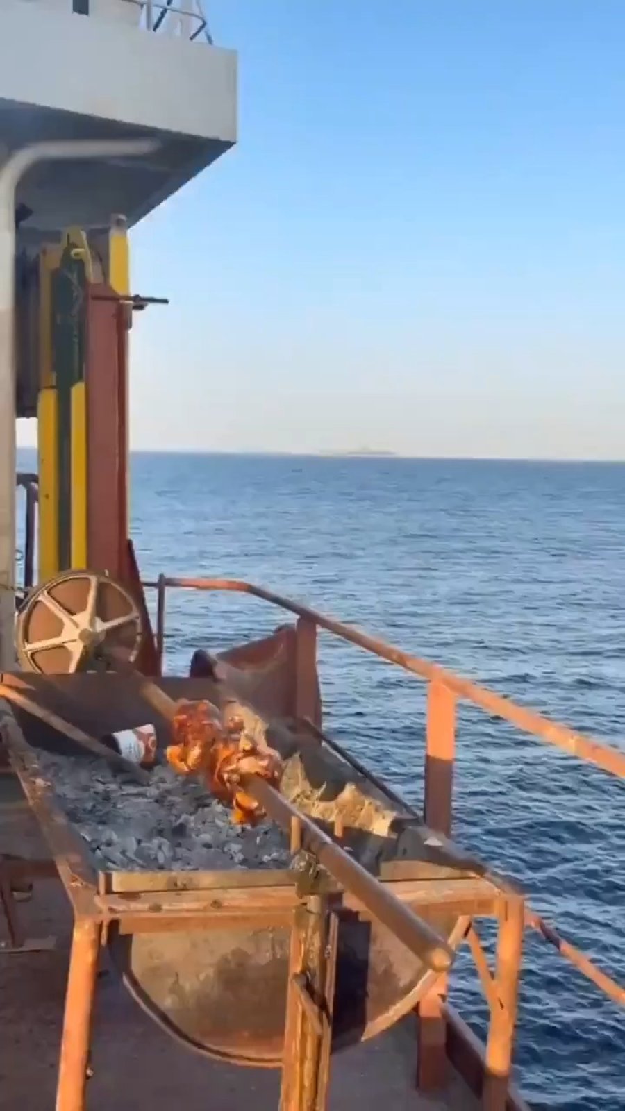 התיועד שרץ ברשת