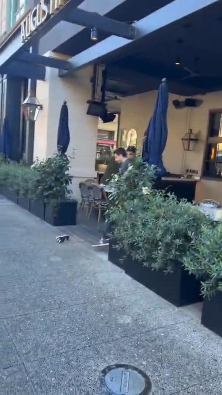 רגעי התקיפה