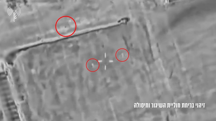 חיסול החולייה