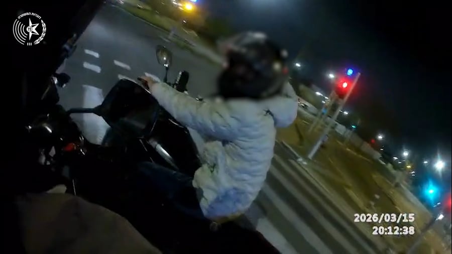 המרדף והמעצר