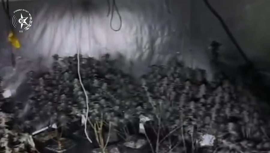 המעבדה שהתגלתה