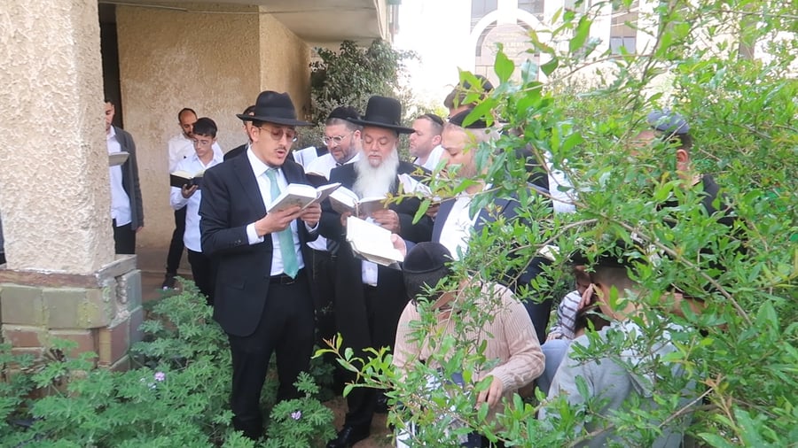 הרב יגאל כהן בברכת האילנות