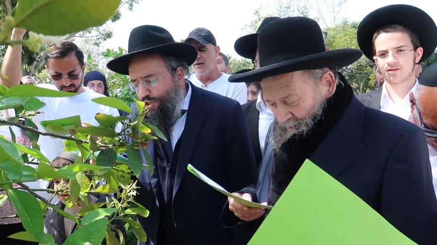 המקובל רבי דוד בצרי בברכת האילנות