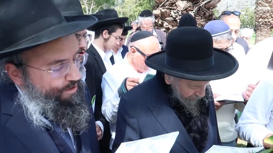 המקובל רבי דוד בצרי בברכת האילנות