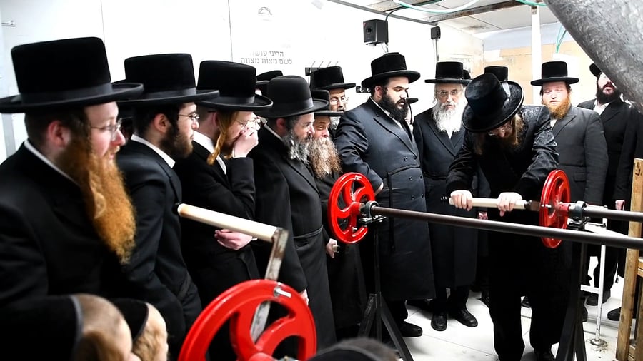 האדמו"ר מסאדיגורה בטחינת חיטים