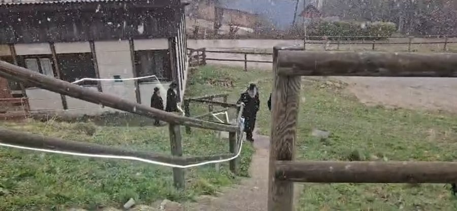 ראש הישיבה בצרפת