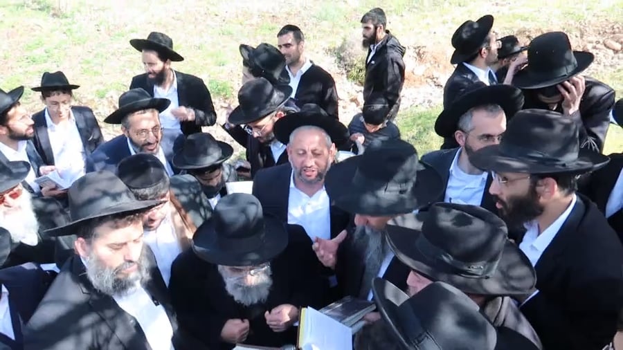 הגאון רבי משה צדקה בברכת האילנות