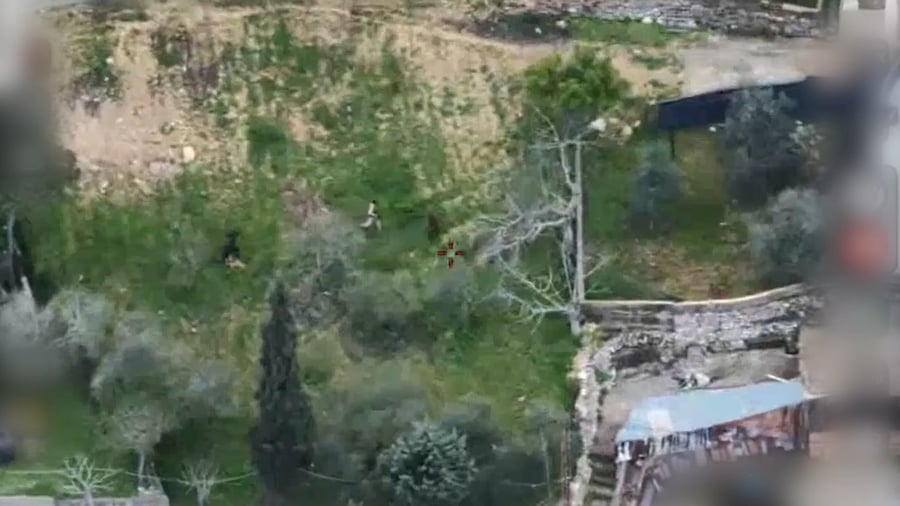 חיסול המחבלים בלבנון