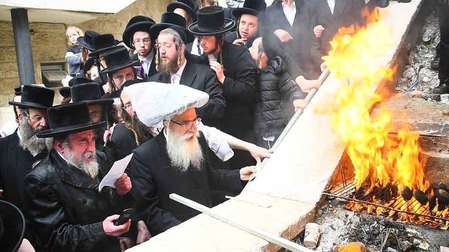 האדמו"ר מרחמסטריווקא בשריפת חמץ