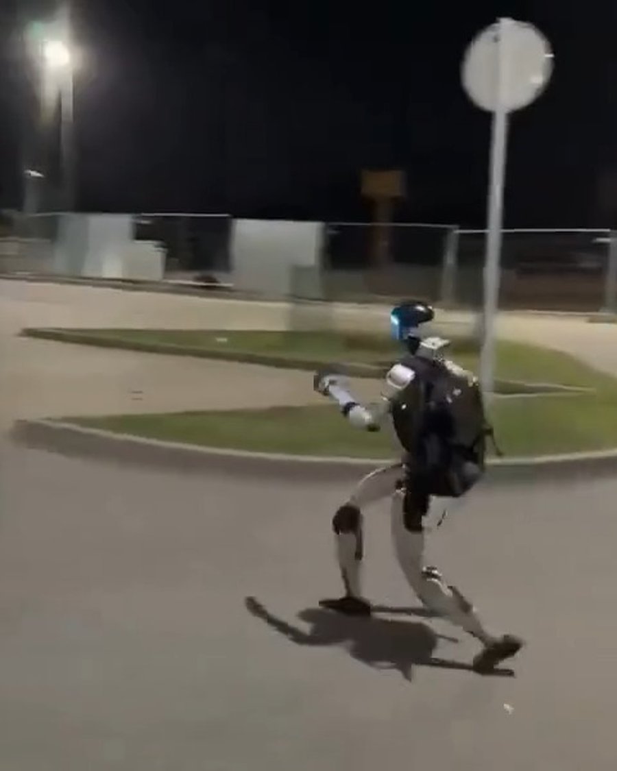 הרובוט רודף אחרי החזירים