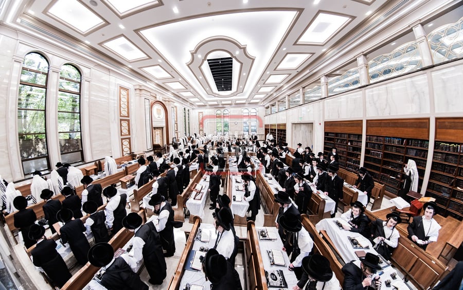 האדמו"ר מבאבוב בתפילת שחרית במונסי