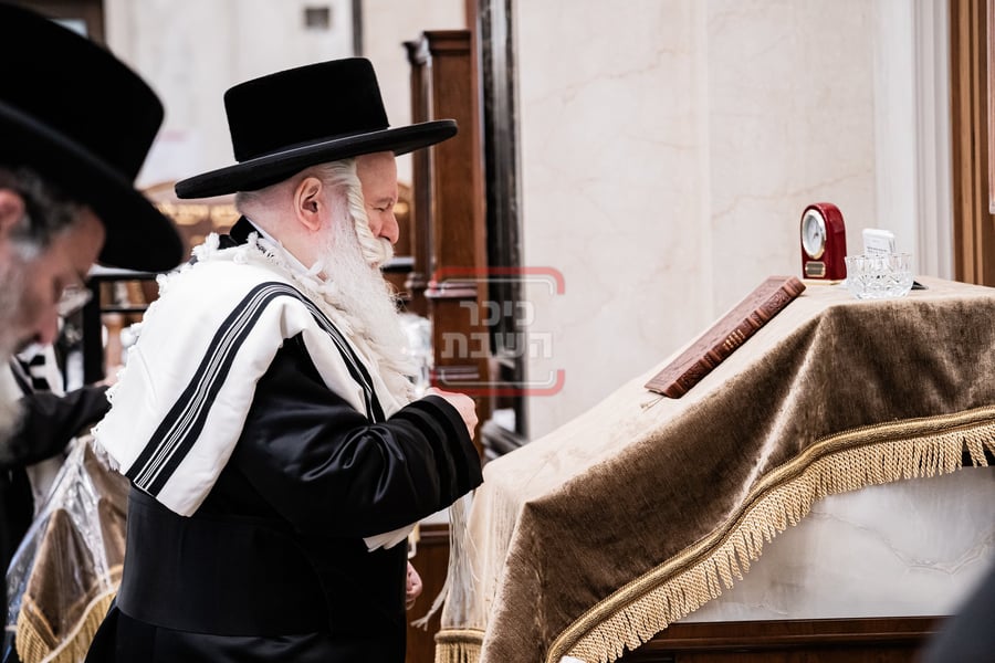 האדמו"ר מבאבוב מתעטף בטלית לפני תפילת שחרית במונסי