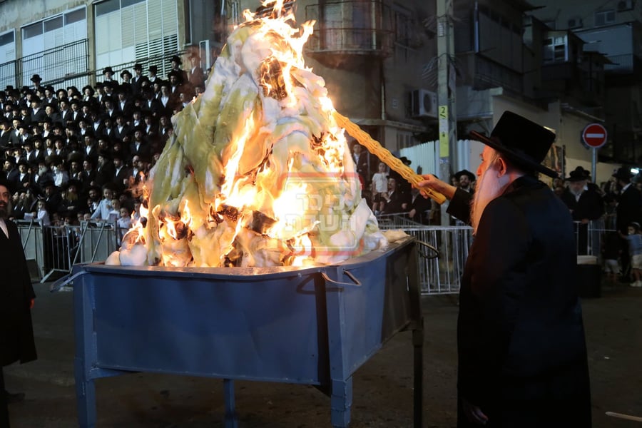 ל"ג בעומר בחצה"ק מחנובקה בעלזא