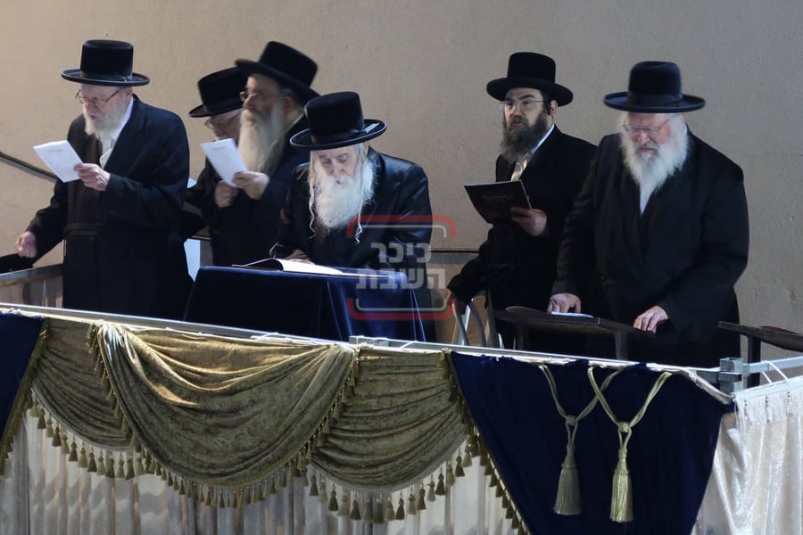 ל"ג בעומר בחצה"ק מחנובקה בעלזא