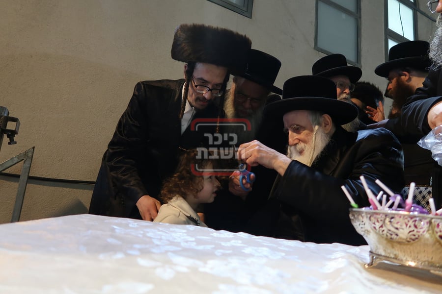 ל"ג בעומר בחצה"ק מחנובקה בעלזא