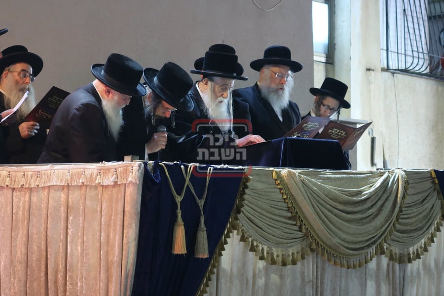 ל"ג בעומר בחצה"ק מחנובקה בעלזא