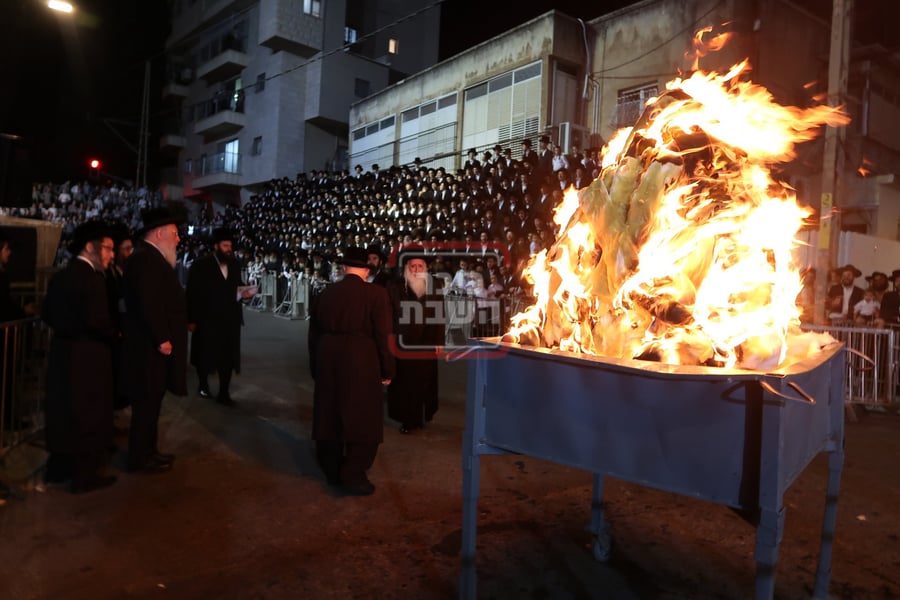 ל"ג בעומר בחצה"ק מחנובקה בעלזא