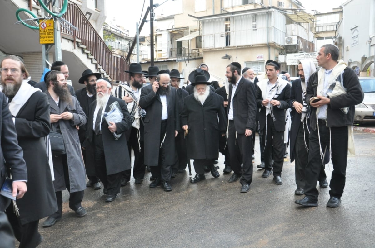 זריזין מקדימים: גדולי ישראל ב"ברכת האילנות"