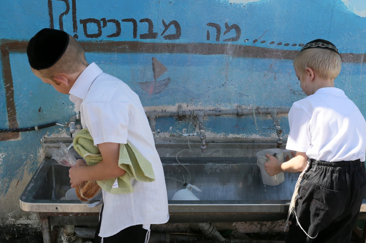 גלריה: חוזרים אל התלמוד תורה