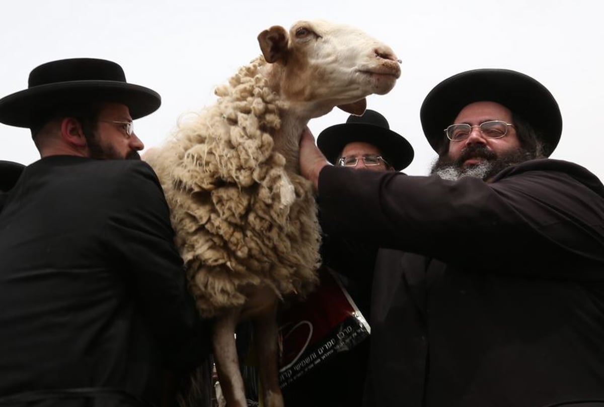 כך עושים ראשית הגז • צפו בתמונות