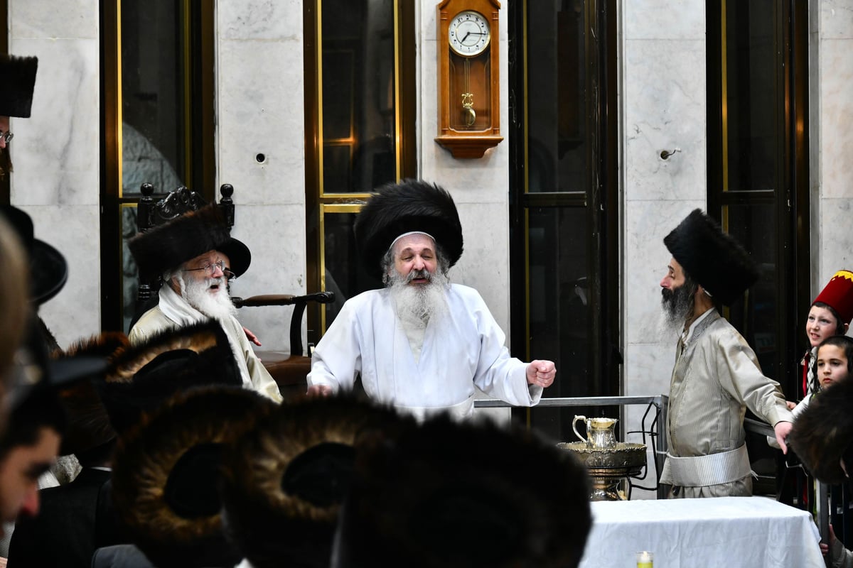 טיש פורים בחצה"ק שומרי אמונים ירושלים