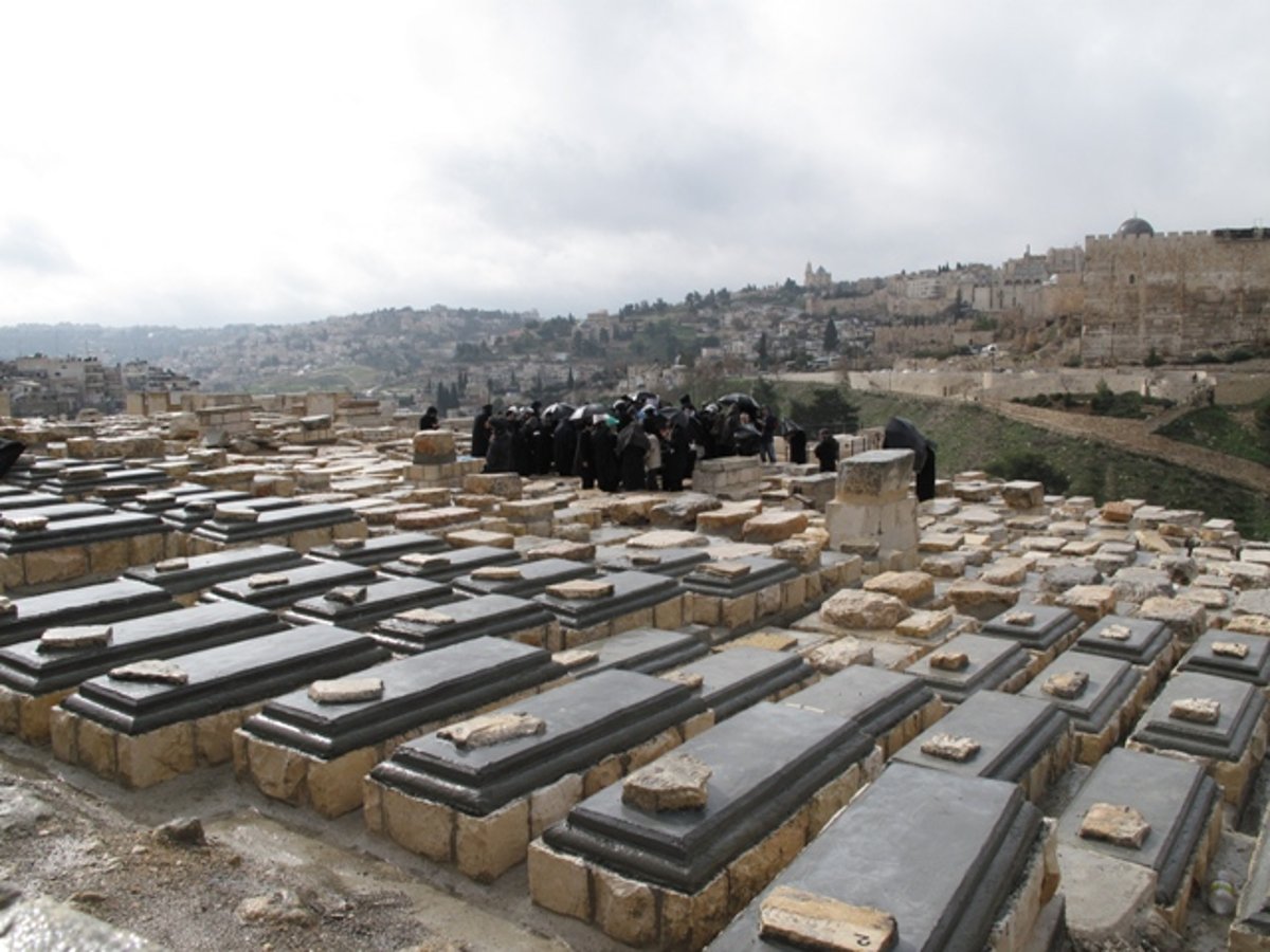 גלריית תמונות: המונים עלו לקברו של הרש"ש