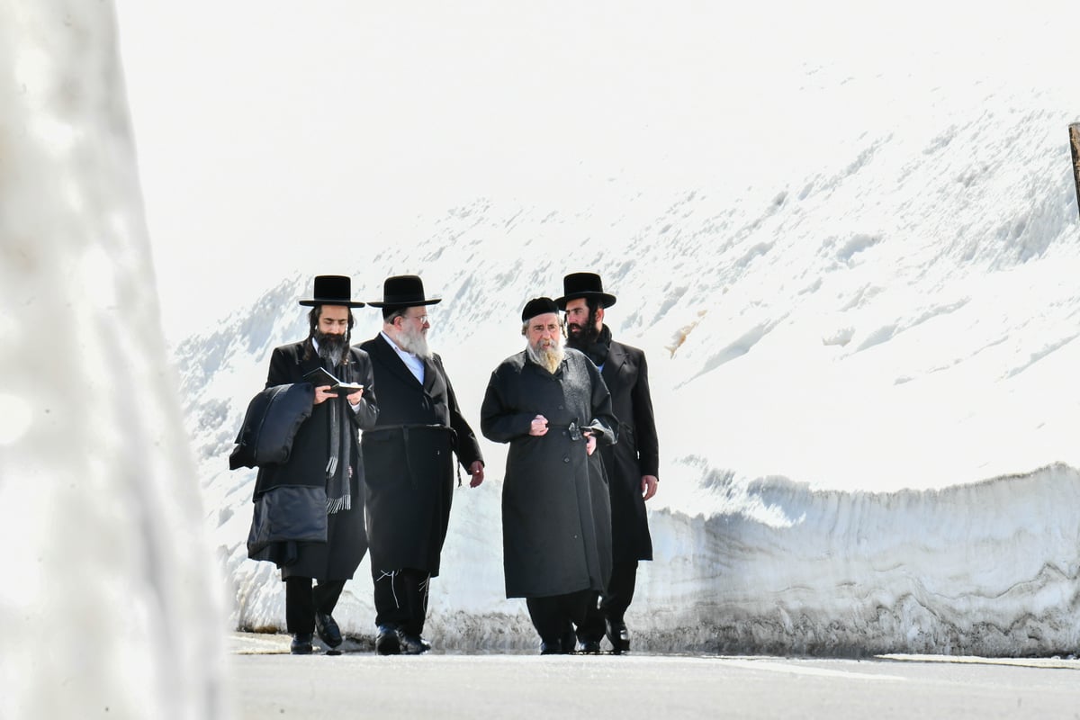 האדמו"ר מרחמסטריווקא בנאות דשא בשווייץ