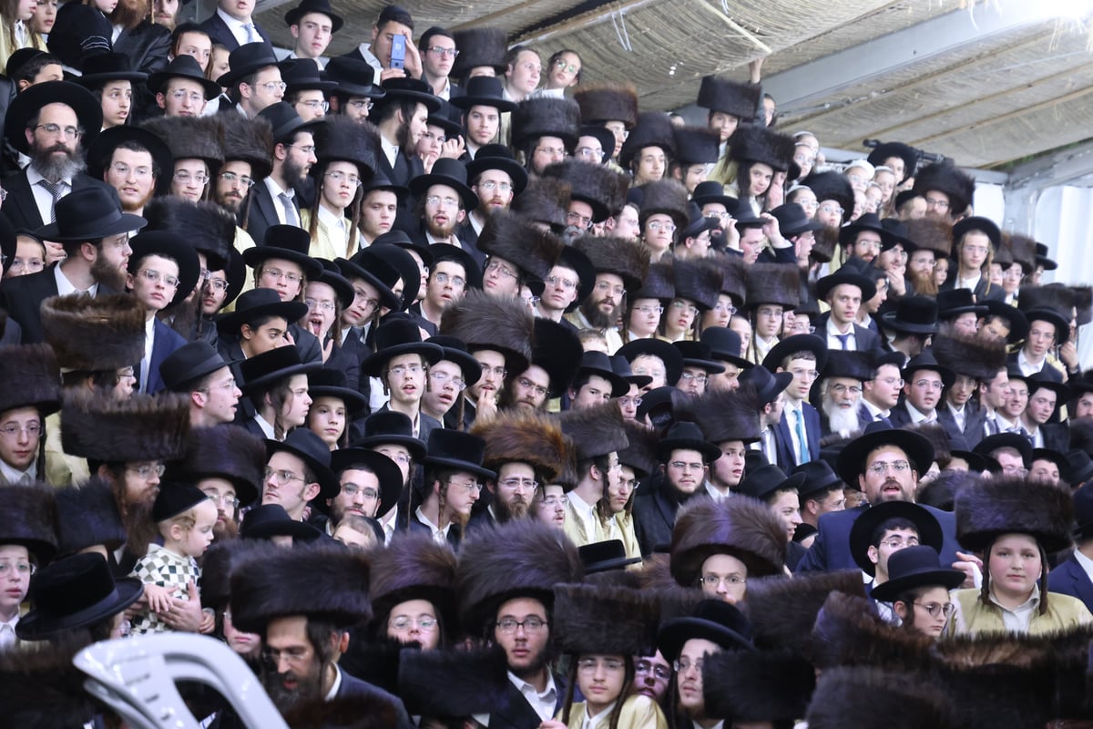 הקבלת פני רבו להגר"מ שטרנבוך - חוה"מ סוכות תשפ"ה 