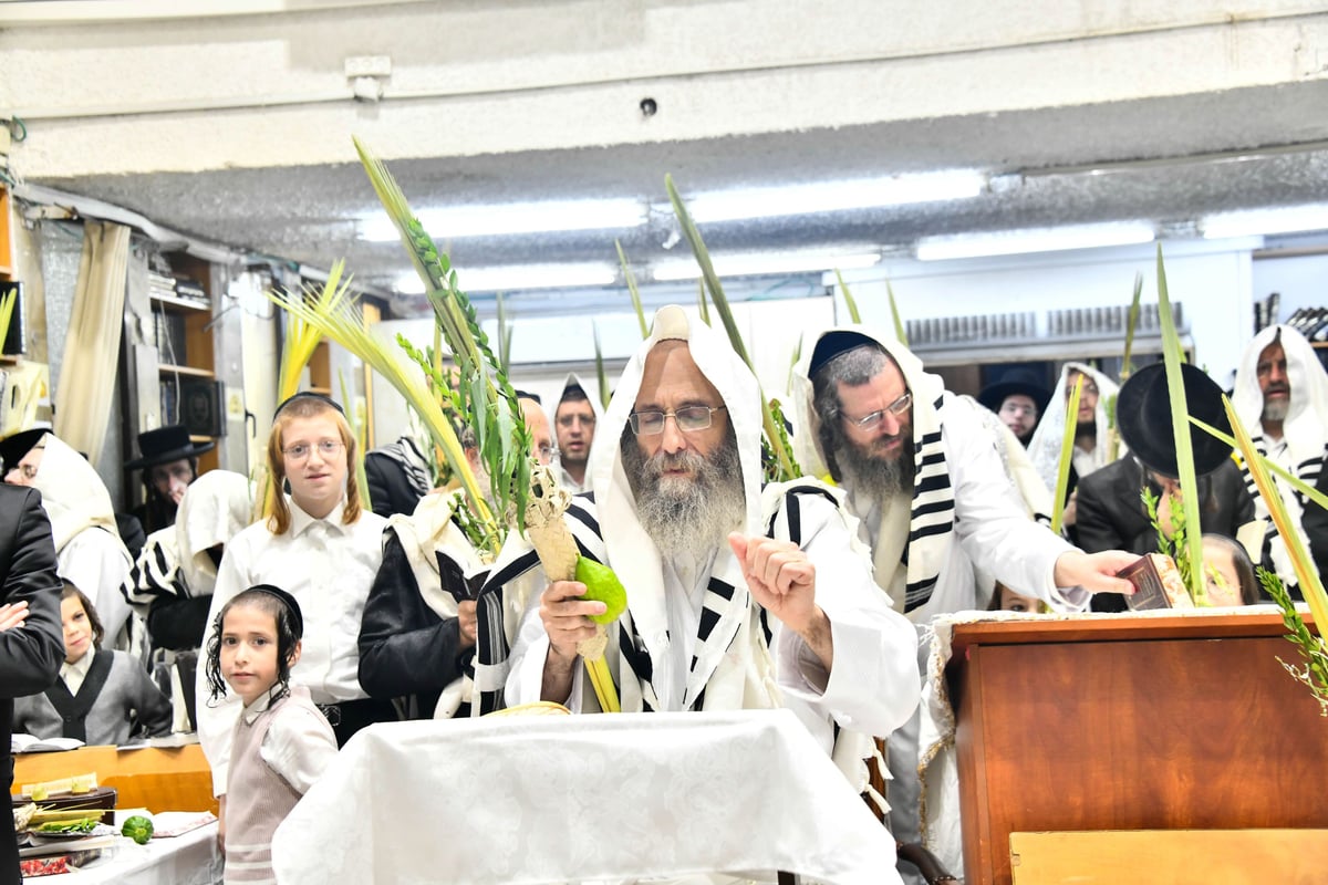 הושענא רבה אצל המשפיע הגה"צ רבי אלימלך בידרמן 