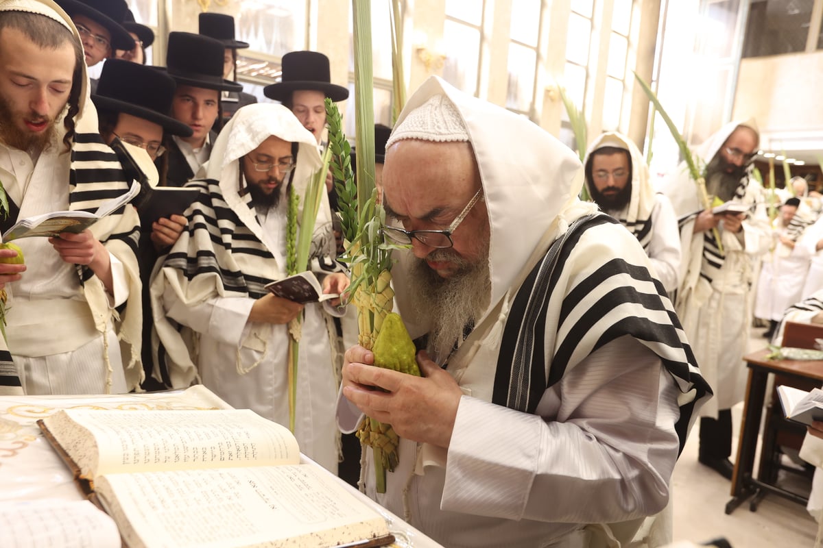 הושענא רבה בחצה"ק לעלוב 