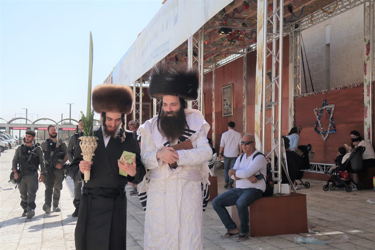 האדמו"ר מקאסוב לייקווד בהושענא רבה