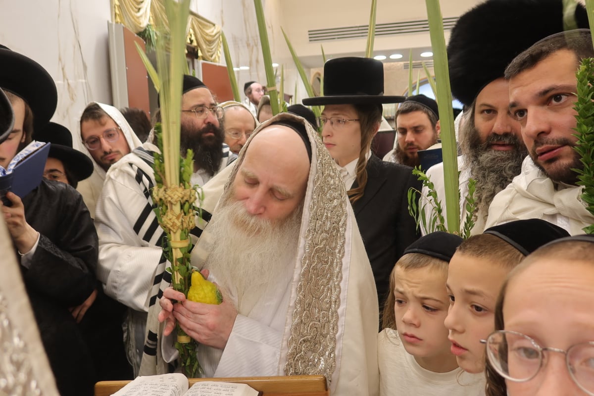 הגה"צ רבי יצחק מאיר מורגנשטרן בנטילת לולב 