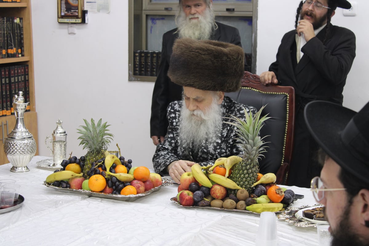 ט"ו בשבט בחצה"ק בוטושאן