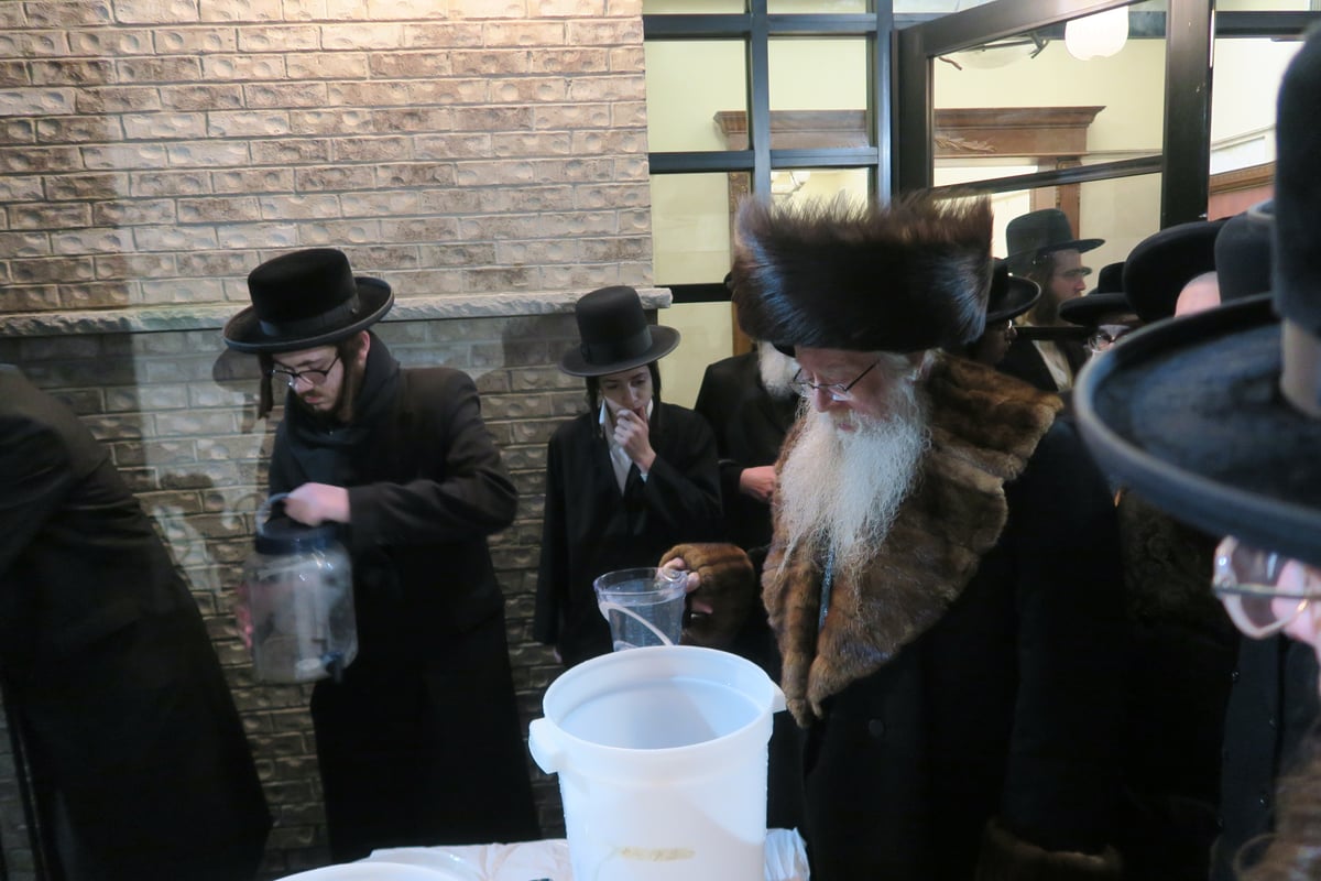 חג הפסח בחצה"ק ניקלשבורג