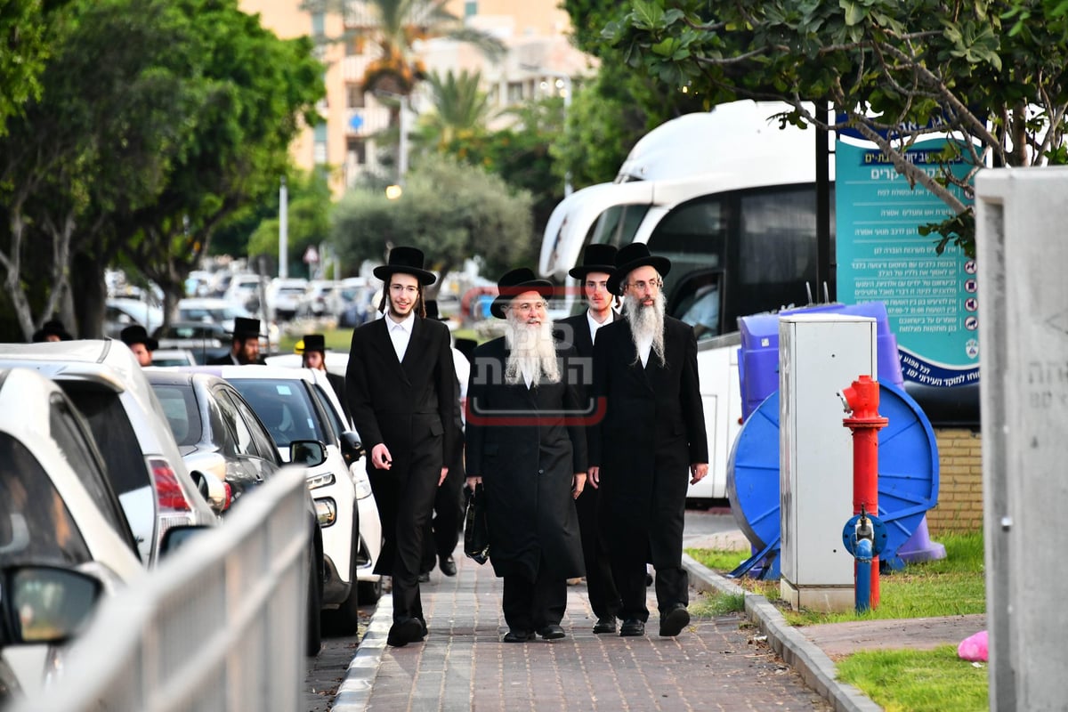 הילולא קדישא בבאבוב