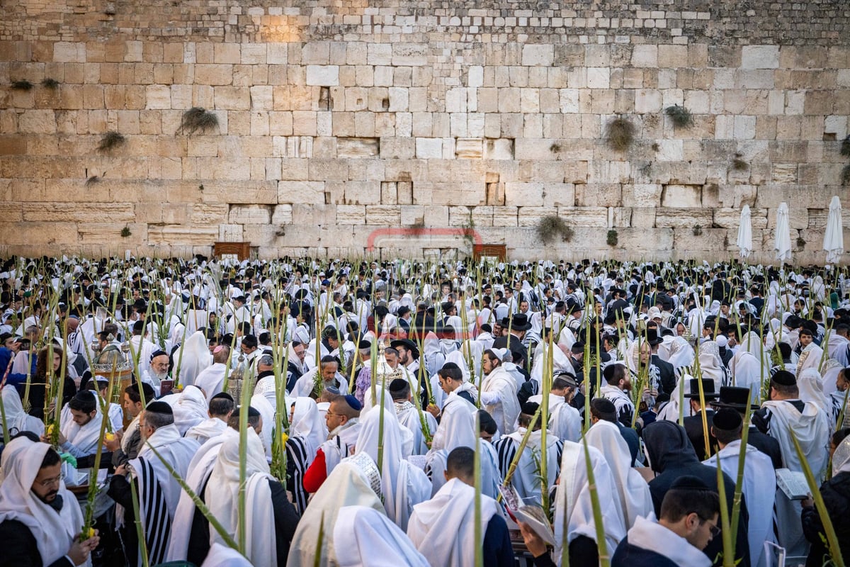 הושענא רבה בכותל המערבי